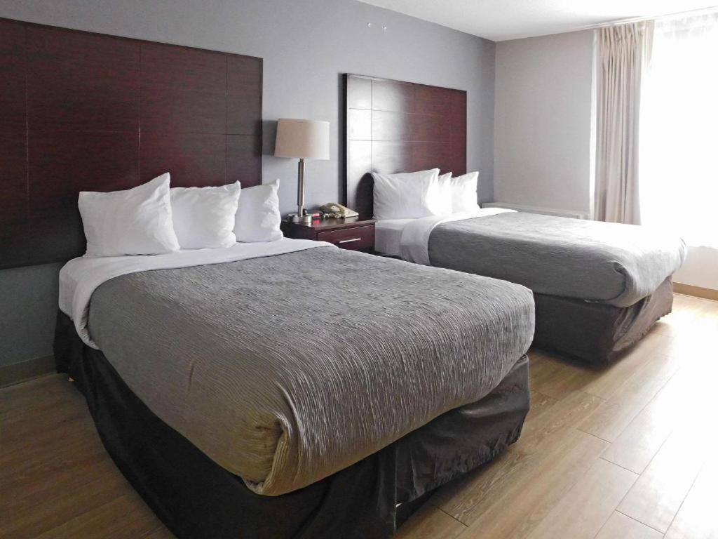 Quality Inn Colchester - Burlington Exteriör bild